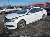 Hyundai Sonata Sport 2.0T 5NPE34ABXFH041851 fotografie