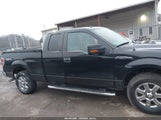 Ford F-150 Xlt 1FTFX1EF1DFA99861 снимка