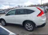 Honda Cr-V Ex 5J6RM4H57EL001889 снимка