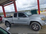 Toyota Tacoma Prerunner V6 5TFTU4GN3BX007416 photo