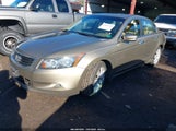 Honda Accord 3.5 Ex-L 1HGCP3F8XAA016100 photo
