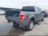 Ford F-150 Xlt 1FTEW1CM2EKE24462 снимка