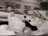 Miniaturka zdjęcia 5