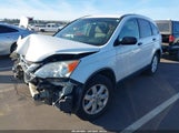 Honda Cr-V Se 5J6RE3H43BL043065 снимка
