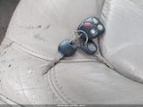 Miniaturka zdjęcia 11