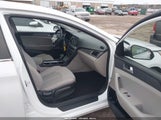 Hyundai Sonata 5NPE24AF3HH548504 снимка