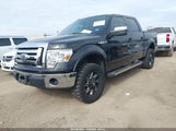 Ford F-150 Fx2 Sport/Xl/Xlt 1FTEW1C8XAKB37691 fotografie