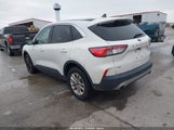Miniaturka zdjęcia 3