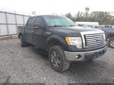 Ford F-150 Xlt 1FTFW1EF3CFB01045 fotografie