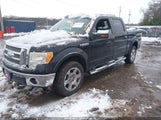 Ford F-150 Fx4/King Ranch/Lariat/Platinum/Xl/Xlt 1FTPW14V99FB36002 photo
