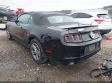 Ford Mustang V6 Premium 1ZVBP8EM7E5208429 снимка