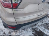 Miniaturka zdjęcia 6