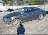 Honda Accord Ex-L V-6 1HGCR3F85DA039864 photo