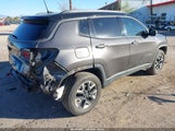 Jeep Compass Trailhawk 4X4 3C4NJDDB3JT334694 снимка