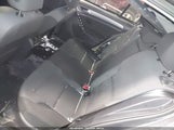 Miniaturka zdjęcia 8