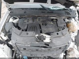 Miniaturka zdjęcia 10