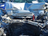 Miniaturka zdjęcia 10