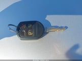 Miniaturka zdjęcia 11