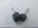 Miniaturka zdjęcia 11