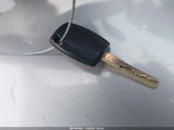 Miniaturka zdjęcia 11
