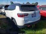 Jeep Compass Trailhawk 4X4 3C4NJDDB3LT242911 снимка