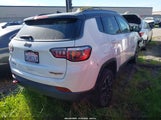 Jeep Compass Trailhawk 4X4 3C4NJDDB3LT242911 снимка
