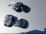 Miniaturka zdjęcia 11