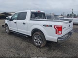 Ford F-150 Xlt 1FTEW1EP8HKD83332 снимка