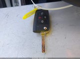 Miniaturka zdjęcia 11