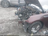 Miniaturka zdjęcia 6