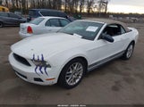 Ford Mustang V6/V6 Premium 1ZVBP8EN6A5166175 fotografie