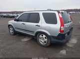 Miniaturka zdjęcia 3