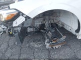 Miniaturka zdjęcia 6
