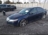 Acura Tl 19UUA66266A072447 снимка