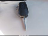 Miniaturka zdjęcia 11