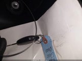 Miniaturka zdjęcia 11