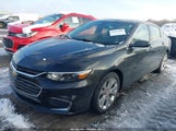 Miniaturka zdjęcia 2