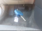 Miniaturka zdjęcia 11