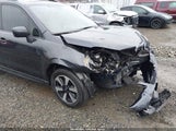 Miniaturka zdjęcia 6