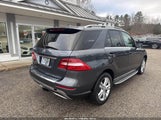 Mercedes-Benz Ml 350 4Matic 4JGDA5HB7DA164620 снимка