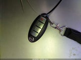 Miniaturka zdjęcia 11