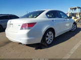 Honda Accord 3.5 Ex-L 1HGCP3F85AA027862 снимка