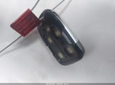 Miniaturka zdjęcia 11