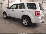 Ford Escape Xls/Xls Manual 1FMCU02Z88KD83565 снимка