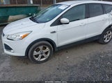 Ford Escape Se 1FMCU0GX2EUC67124 fotografie