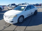 Miniaturka zdjęcia 2