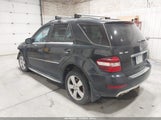 Mercedes-Benz Ml 350 4Matic 4JGBB8GB9AA558428 fotografie