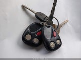 Miniaturka zdjęcia 11