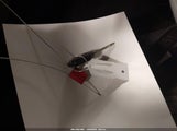 Miniaturka zdjęcia 11