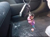 Miniaturka zdjęcia 11
